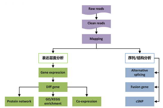 真核轉(zhuǎn)錄組測序分析流程圖