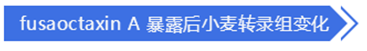 QQ 截圖 20191204144856