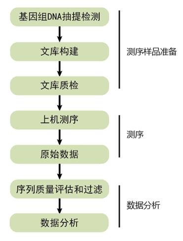 全基因組重測序項(xiàng)目流程