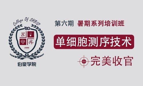 伯豪學院 | 暑期培訓班第 6 期—單細胞測序技術