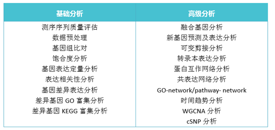 真核轉(zhuǎn)錄組測序分析流程劃分