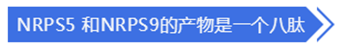 QQ 截圖 20191204144759