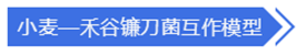 QQ 截圖 20191204145008