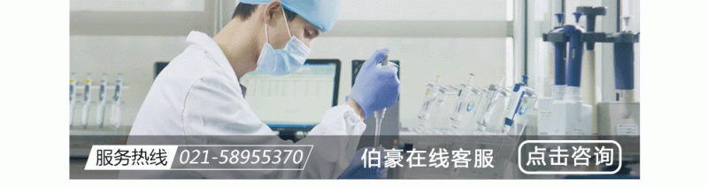 伯豪生物奔跑吧學霸在線人工客服