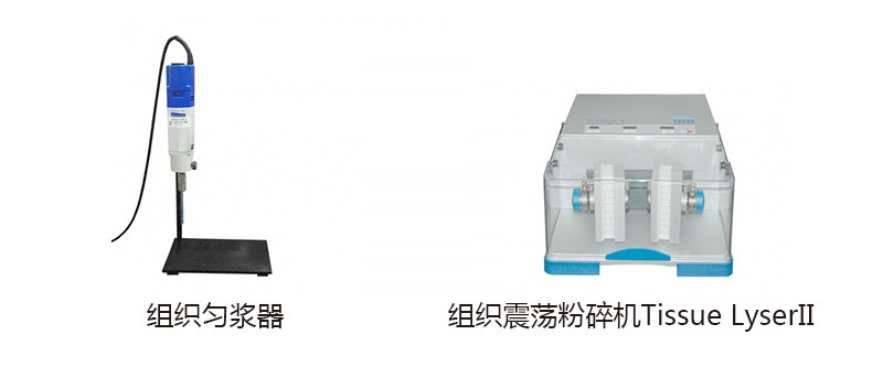 組織勻漿機(jī)與震蕩破碎儀