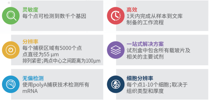 伯豪生物空間轉(zhuǎn)錄組測序