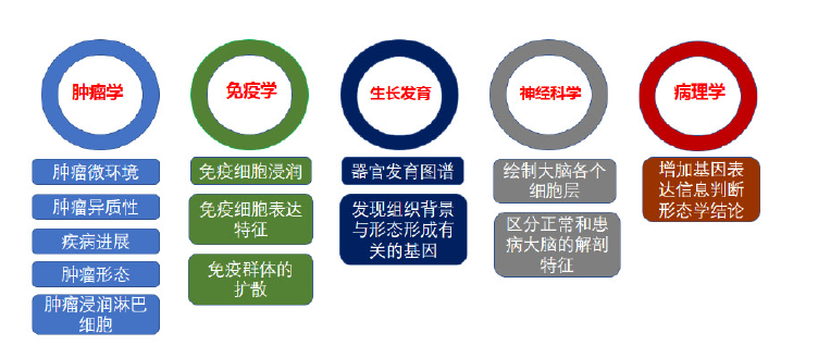 伯豪生物空轉(zhuǎn)測序