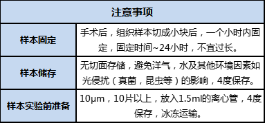 FFPE 樣本準(zhǔn)備、儲(chǔ)存及運(yùn)輸