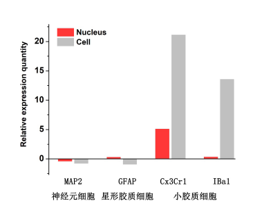 伯豪生物單細胞核轉錄組測序數(shù)據(jù)圖 5