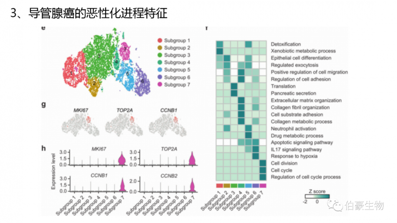 伯豪生物單細(xì)胞測(cè)序客戶發(fā)文