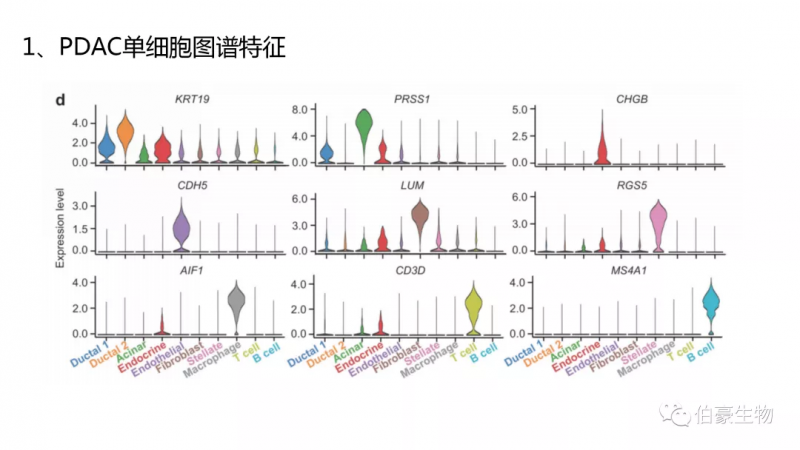  伯豪生物 單細(xì)胞測(cè)序服務(wù) 