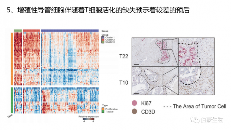 伯豪生物單細(xì)胞測(cè)序客戶發(fā)文 4