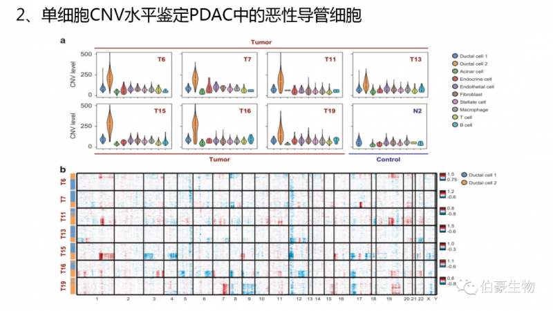 伯豪生物單細(xì)胞測(cè)序技術(shù)服務(wù)