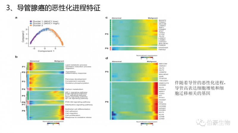 上海伯豪生物單細(xì)胞測(cè)序服務(wù)客戶文章