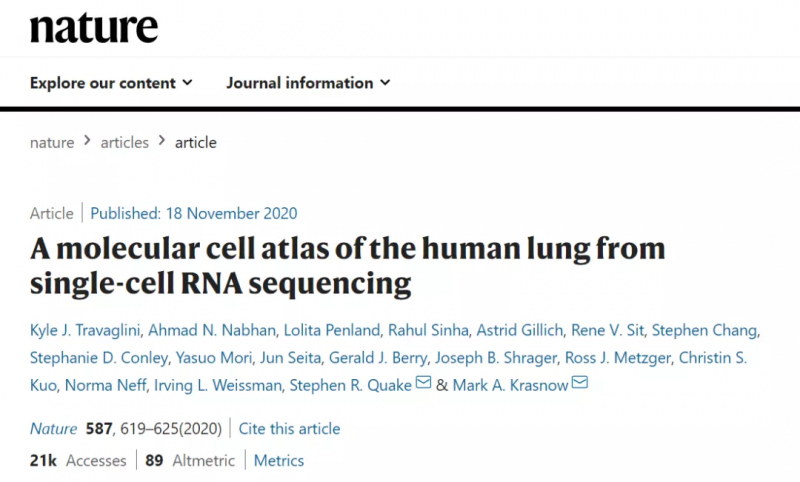 利用單細胞 RNA-seq 技術創(chuàng)造了全肺圖譜