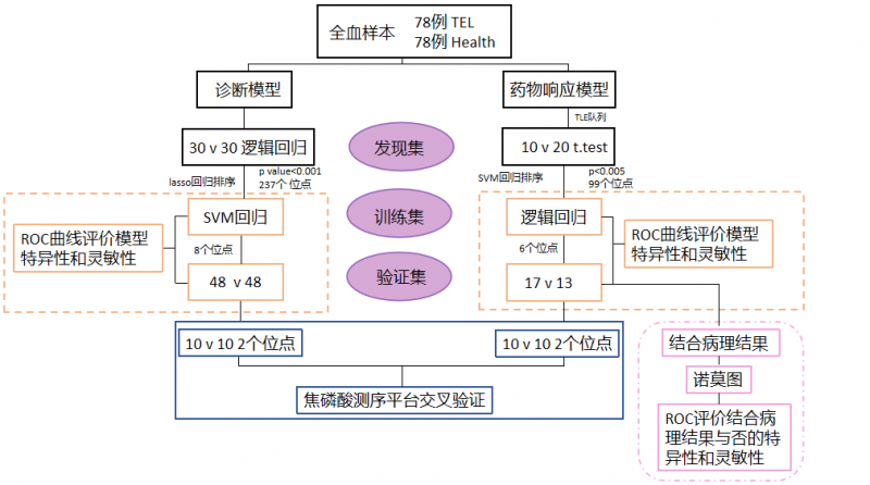 甲基化標(biāo)志物研究路線