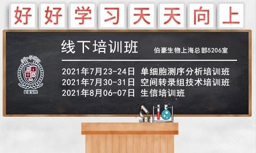 重磅！暑期系列培訓(xùn)班開課通知，6 月報(bào)名可享優(yōu)惠！