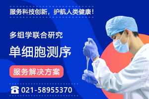 單細胞多組學研究一站式解決方案！