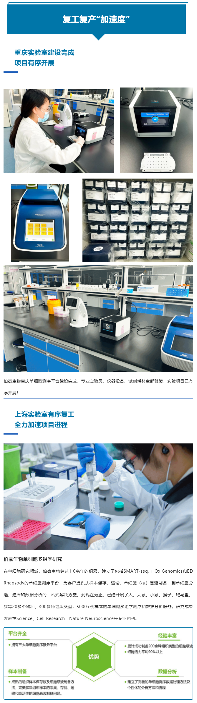 上海重慶齊頭并進(jìn)，全力以“復(fù)”跑出復(fù)工復(fù)產(chǎn)“加速度”