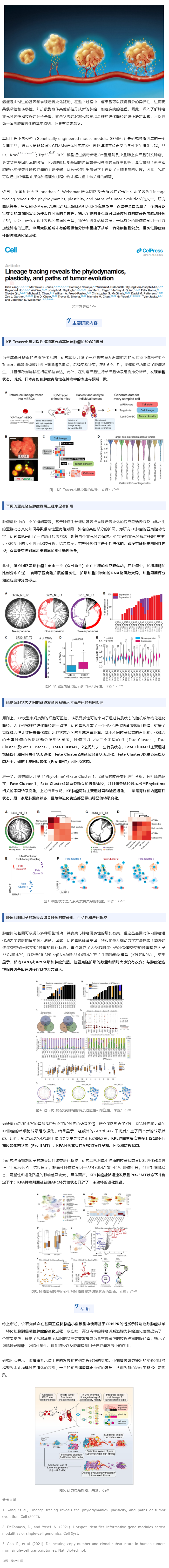 Cell| 首次大規(guī)模高分辨率揭示從一個(gè)攜帶致癌突變的單細(xì)胞演變?yōu)榍忠u性腫瘤的全過程