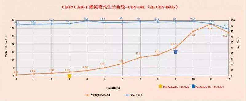 T 細(xì)胞在 MCMCulLymT-SFM10 中規(guī)模化培養(yǎng)