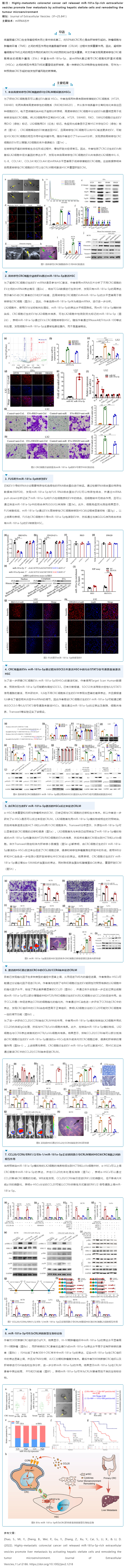 文獻解讀_miRNA 芯片技術(shù)揭示細胞外囊泡 miRNA 促進結(jié)直腸癌肝轉(zhuǎn)移新機制