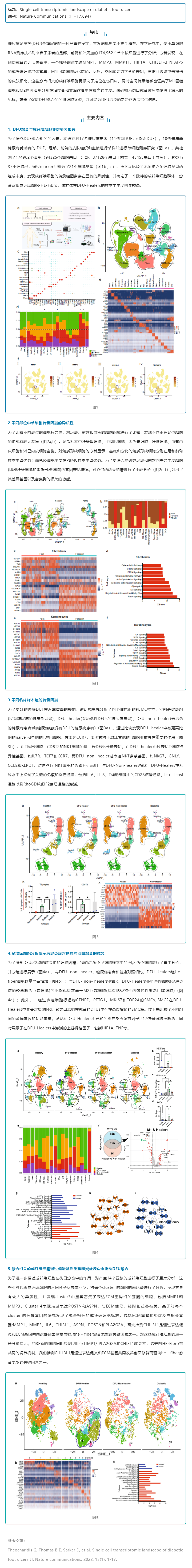 文獻(xiàn)解讀_糖尿病足潰瘍的單細(xì)胞轉(zhuǎn)錄圖譜