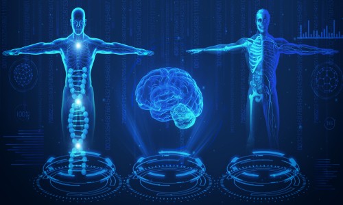 2022 單細(xì)胞空間多組學(xué)技術(shù)與應(yīng)用研討會(huì)