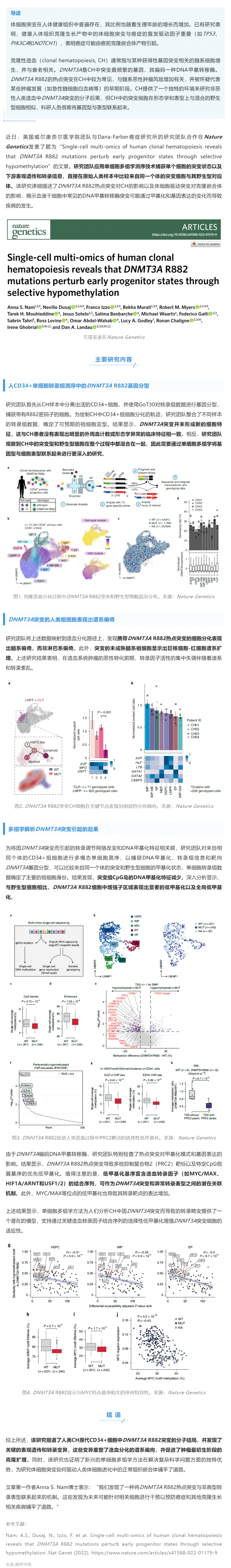 Nat Genet _ 基于單細(xì)胞多組學(xué)技術(shù)解析 DNMT3A R882 突變在人類克隆造血中的影響