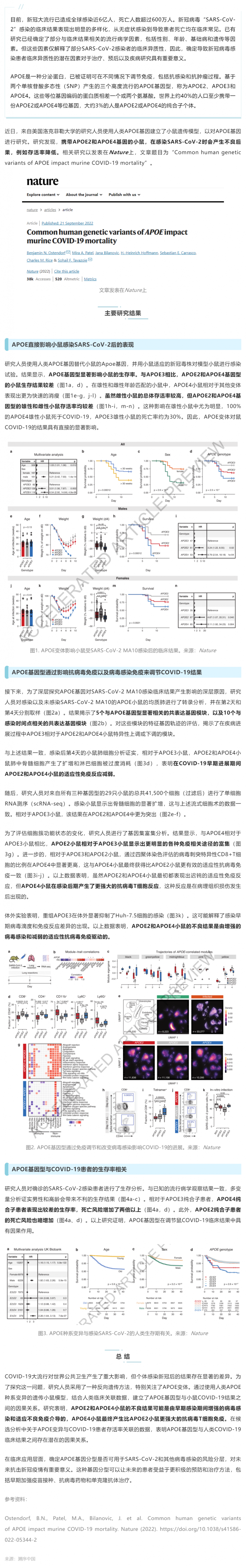 Nature _ 為什么有些人感染新冠后死亡風(fēng)險(xiǎn)高？研究揭示與 APOE 基因型有關(guān)