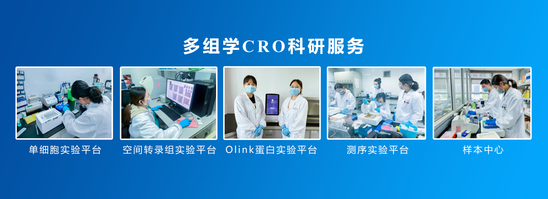 伯豪生物 CRO 服務內(nèi)容