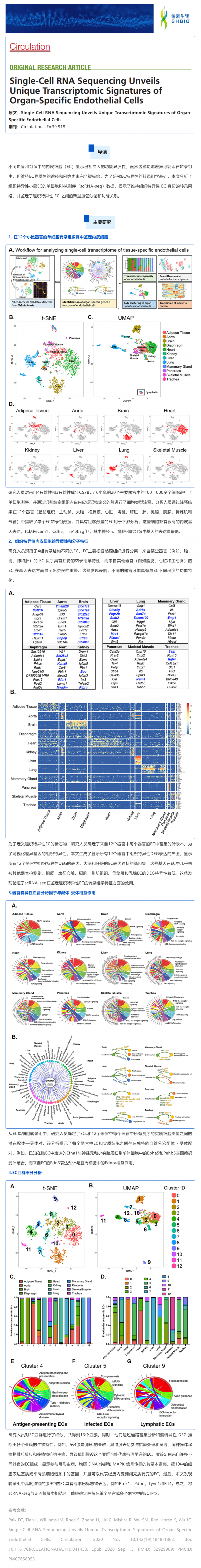 單細(xì)胞測序揭示器官特異性內(nèi)皮細(xì)胞的獨(dú)特轉(zhuǎn)錄組學(xué)特征
