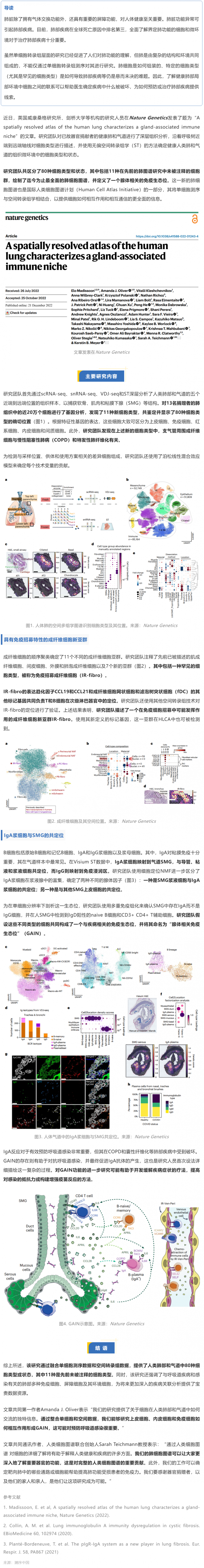 Nat Genet 發(fā)布迄今最全面的人類肺細(xì)胞空間圖譜，首次揭示腺體相關(guān)的免疫生態(tài)位
