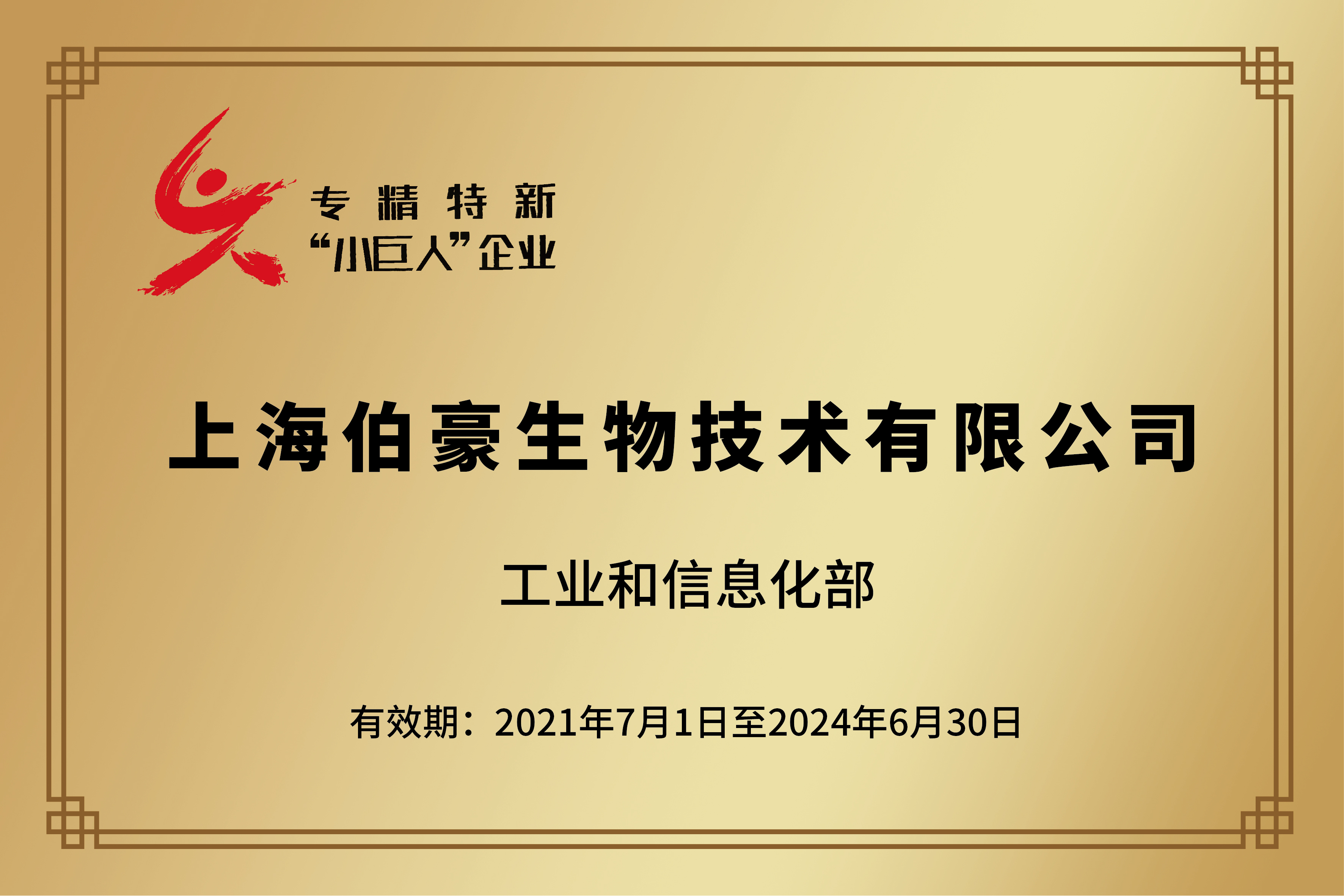 國家級(jí)專精特新“小巨人”企業(yè)