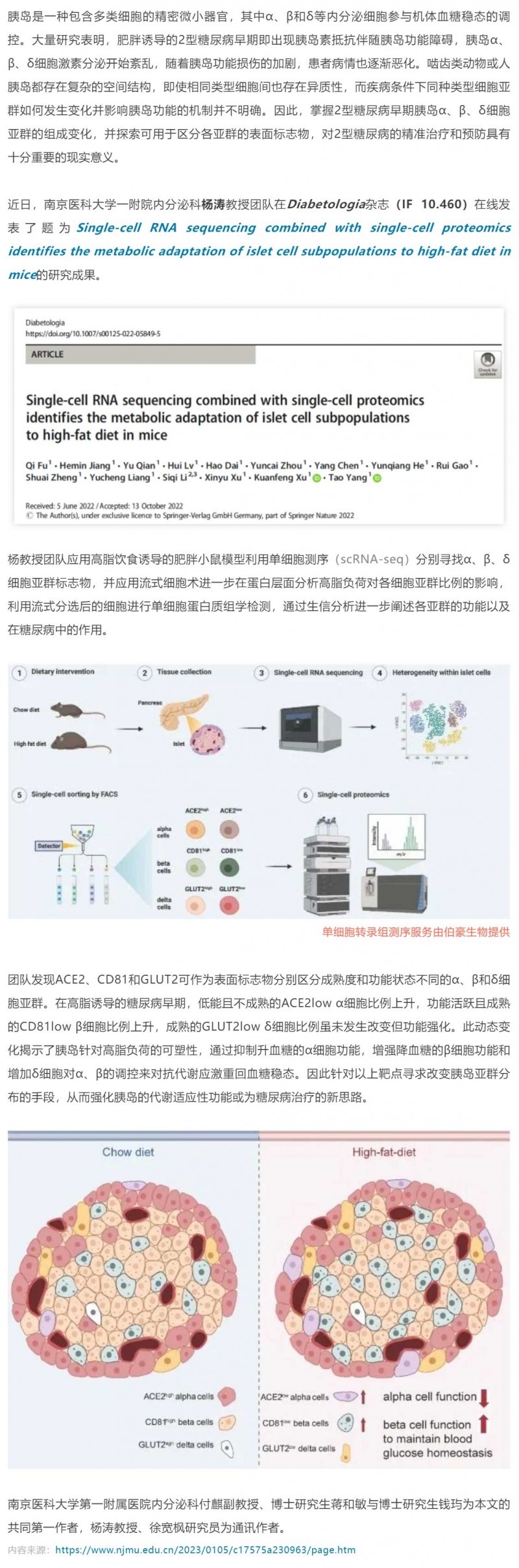 2023-02-01- 單細(xì)胞項(xiàng)目文章 -_- 楊濤團(tuán)隊(duì)揭示高脂喂養(yǎng)小鼠胰島細(xì)胞亞群的特征