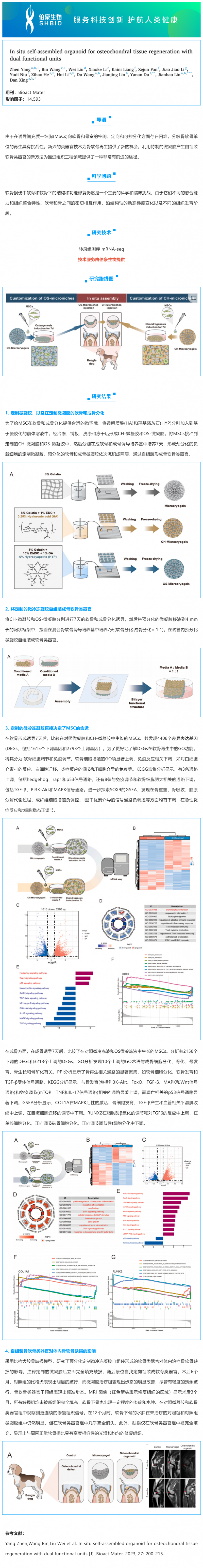 mRNA-seq 項(xiàng)目文章 | 原位自組裝類器官用于軟骨組織再生
