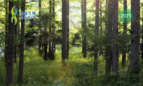 會議邀請 | 伯豪生物誠邀您參加第八屆中國林業(yè)學術(shù)大會