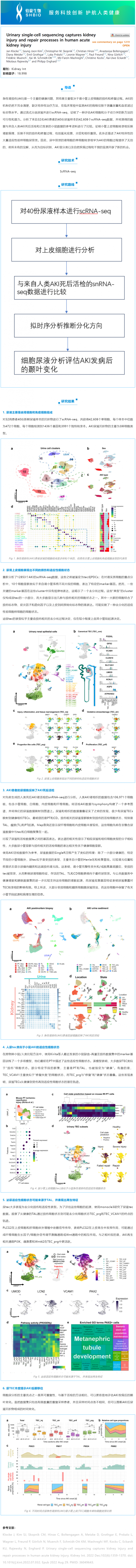 文獻解讀_尿 scRNA-seq 捕獲人類急性腎損傷的腎損傷和修復(fù)過程