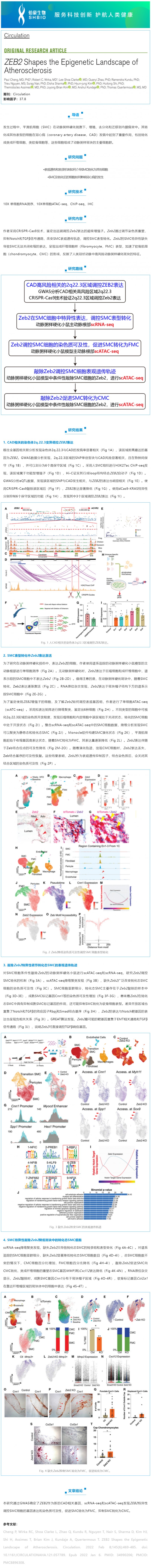 文獻(xiàn)解讀_scRNA-seq 聯(lián)合 scATAC-seq 解析 ZEB2 調(diào)控動(dòng)脈粥樣硬化表觀遺傳景觀
