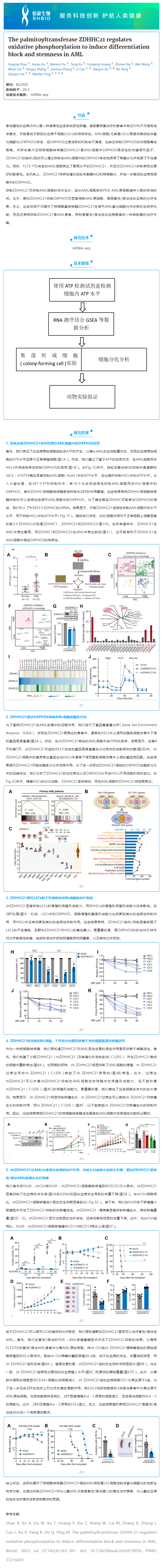 2023-08-14 mRNA-seq 項目文章_棕櫚酰轉(zhuǎn)移酶 ZDHHC21 調(diào)節(jié)氧化磷酸化誘導(dǎo) AML 分化阻滯和干性