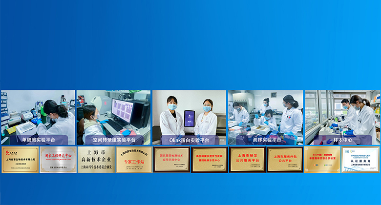 伯豪生物 服務(wù)科技創(chuàng)新，護(hù)航人類(lèi)健康！www.dlqkx.org.cn