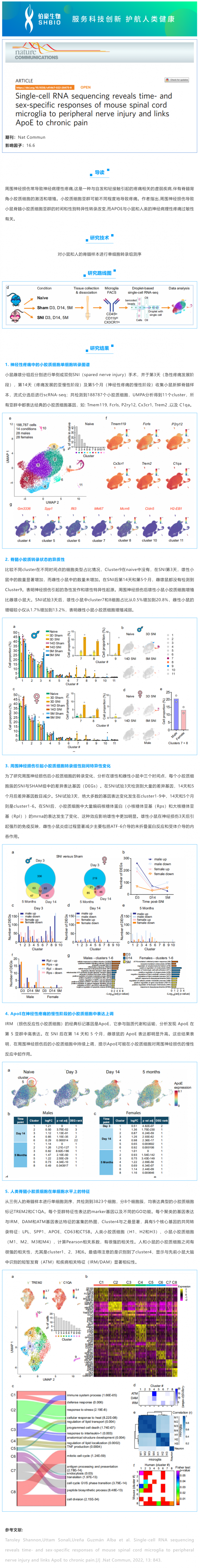 文獻解讀_單細胞 RNA 測序揭示了小鼠脊髓小膠質細胞對周圍神經(jīng)損傷的時間和性別特異性反應，并將 ApoE