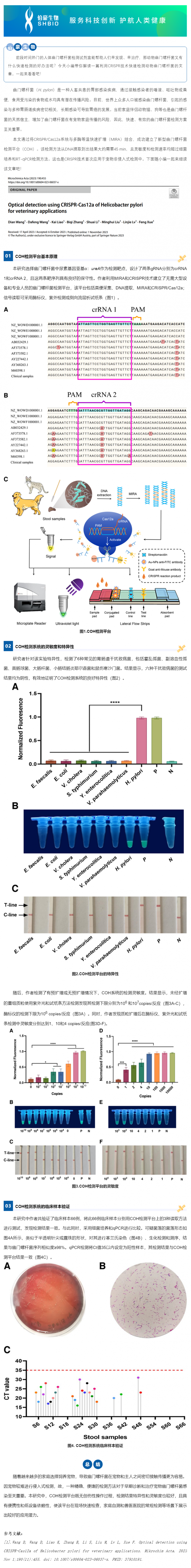 CRISPR 智庫 _ CRISPR 關(guān)注寵物健康——人畜共患幽門螺桿菌現(xiàn)場快速檢