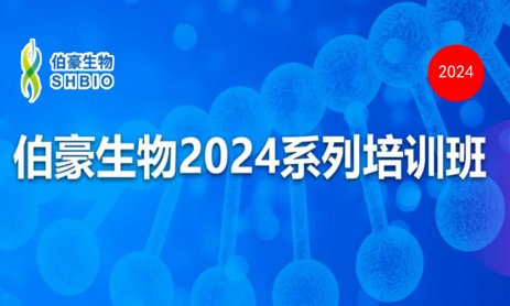 開班通知 | 伯豪生物 2024 系列培訓(xùn)班（北京站）開始報(bào)名啦！