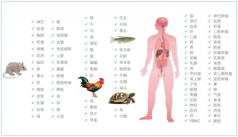  伯豪生物華大設(shè)備單細(xì)胞測(cè)序適用樣本類型 