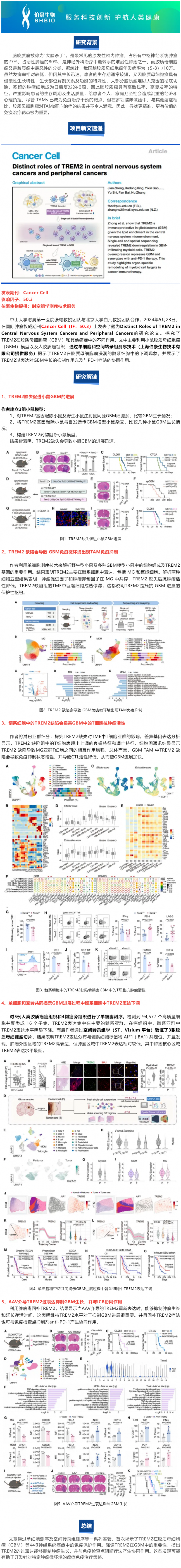 524 項目文章 |Cancer Cell-TREM2 在中樞神經(jīng)系統(tǒng)癌癥和外周腫瘤中的獨特作用