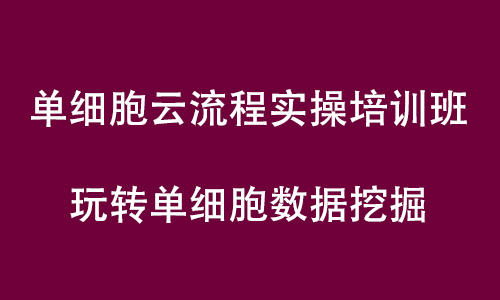 單細胞悟空 | 伯豪生物單細胞云流程實操培訓直播預告