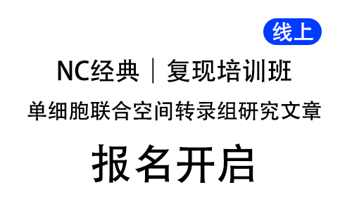 NC 經(jīng)典單細胞聯(lián)合空間轉(zhuǎn)錄組研究文章復(fù)現(xiàn)培訓(xùn)班，線上開啟！