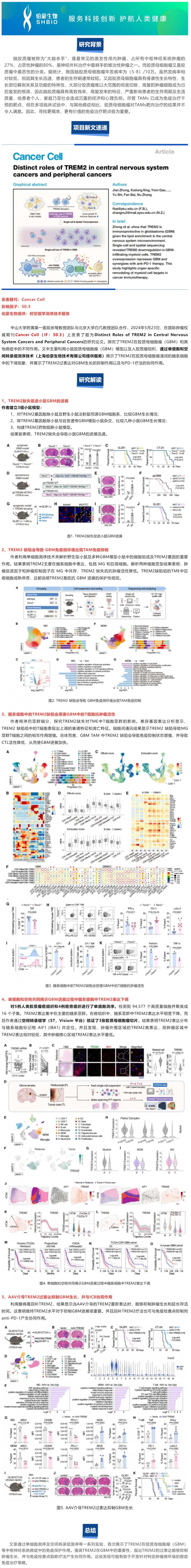 項目文章 |Cancer Cell-TREM2 在中樞神經(jīng)系統(tǒng)癌癥和外周腫瘤中的獨特作用