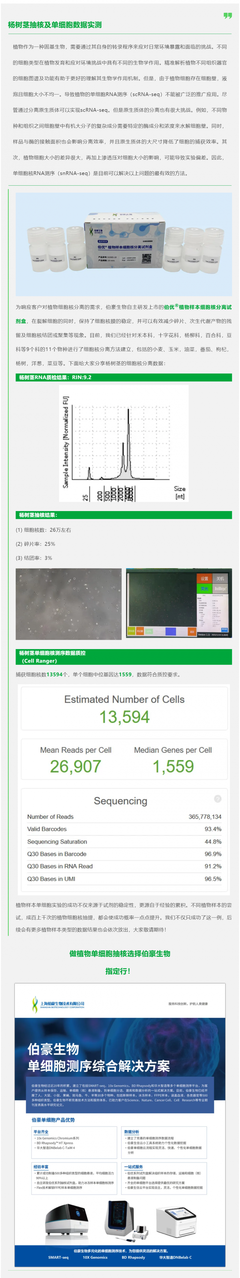 植物抽核哪家強(qiáng)！伯優(yōu)試劑來(lái)幫忙！楊樹莖抽核及單細(xì)胞數(shù)據(jù)實(shí)測(cè)
